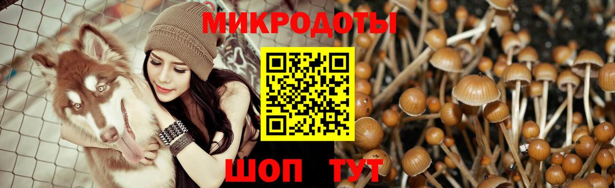 Галлюциногенные грибы GOLDEN TEACHER  Галлюциногенные грибы Cubensis  Лабинск  Вход с VPN 